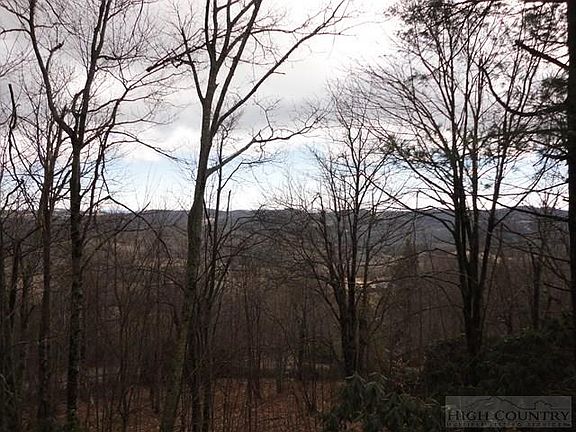 3rd image of Tbd Forest Park Drive