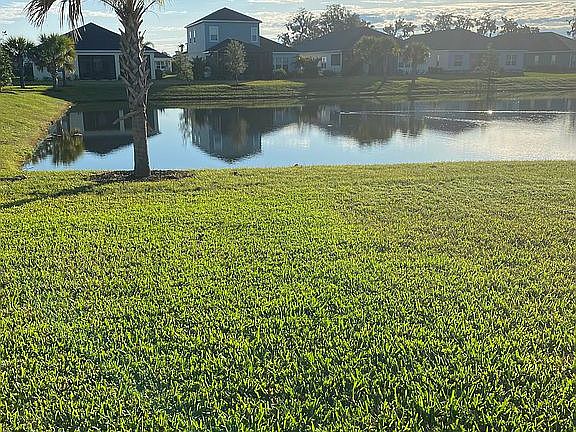 Back yard overlooking pond