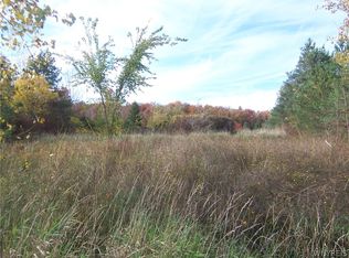 1 Colony Run, Alexander, NY 14005