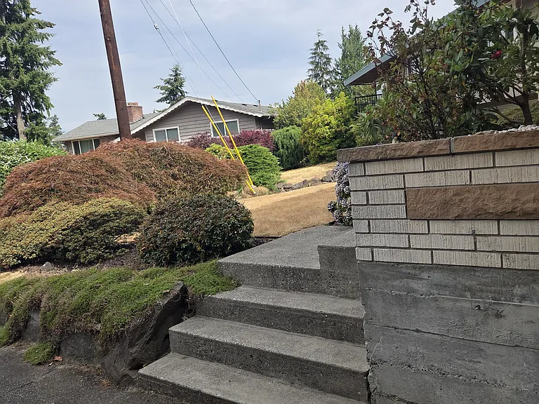Front Yard