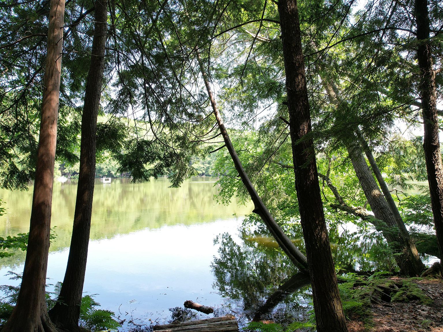 11 Hlywa Dr, Gaylord, MI 49735 Zillow