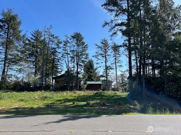 512 Duck Lake Drive SE, Ocean Shores, WA 98569
