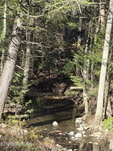 373 Georgee Rd Lot 91, Jamestown, TN, 38556