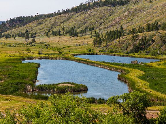 4th image of 808 Oil Creek Rd