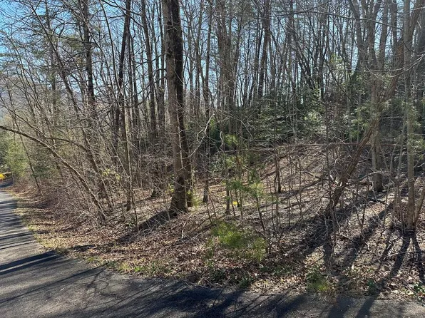 LOT 103 Asheland Cove Dr, Young Harris, GA 30582