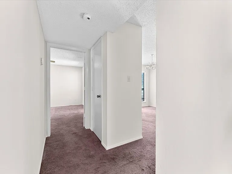 9621 Walnut St #6106 — Photo 14
