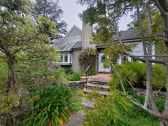 Garden view towards front door