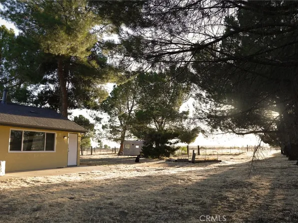 39396 Cary Rd, Anza, CA 92539