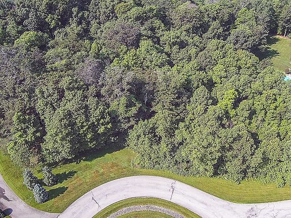 3rd image of 8688 Woodhawk Ln