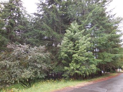 Roberts Rd Lot 103, Oakridge, OR, 97463