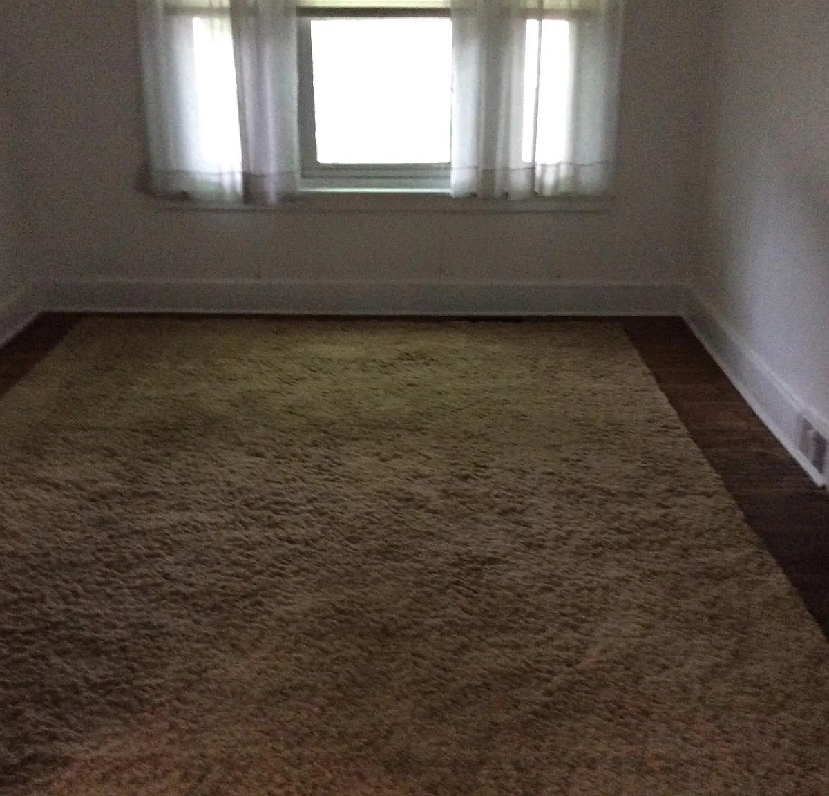 3 bed, 1120 sqft, $2,000 — Photo 2