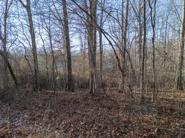0 Satsuma Dr Lot 1736, Crossville, TN 38555