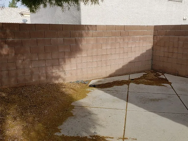 519 Siberia St — Photo 8