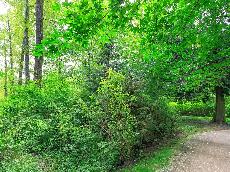 Nature Path