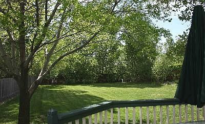 Shady deck 