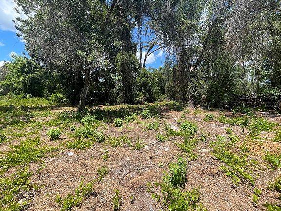 4th image of COUNTY ROAD 42 LOT 411