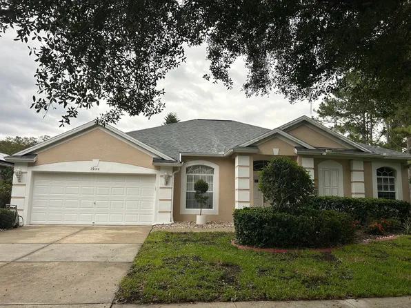 19144 Fern Meadow Loop, Lutz, FL 33558