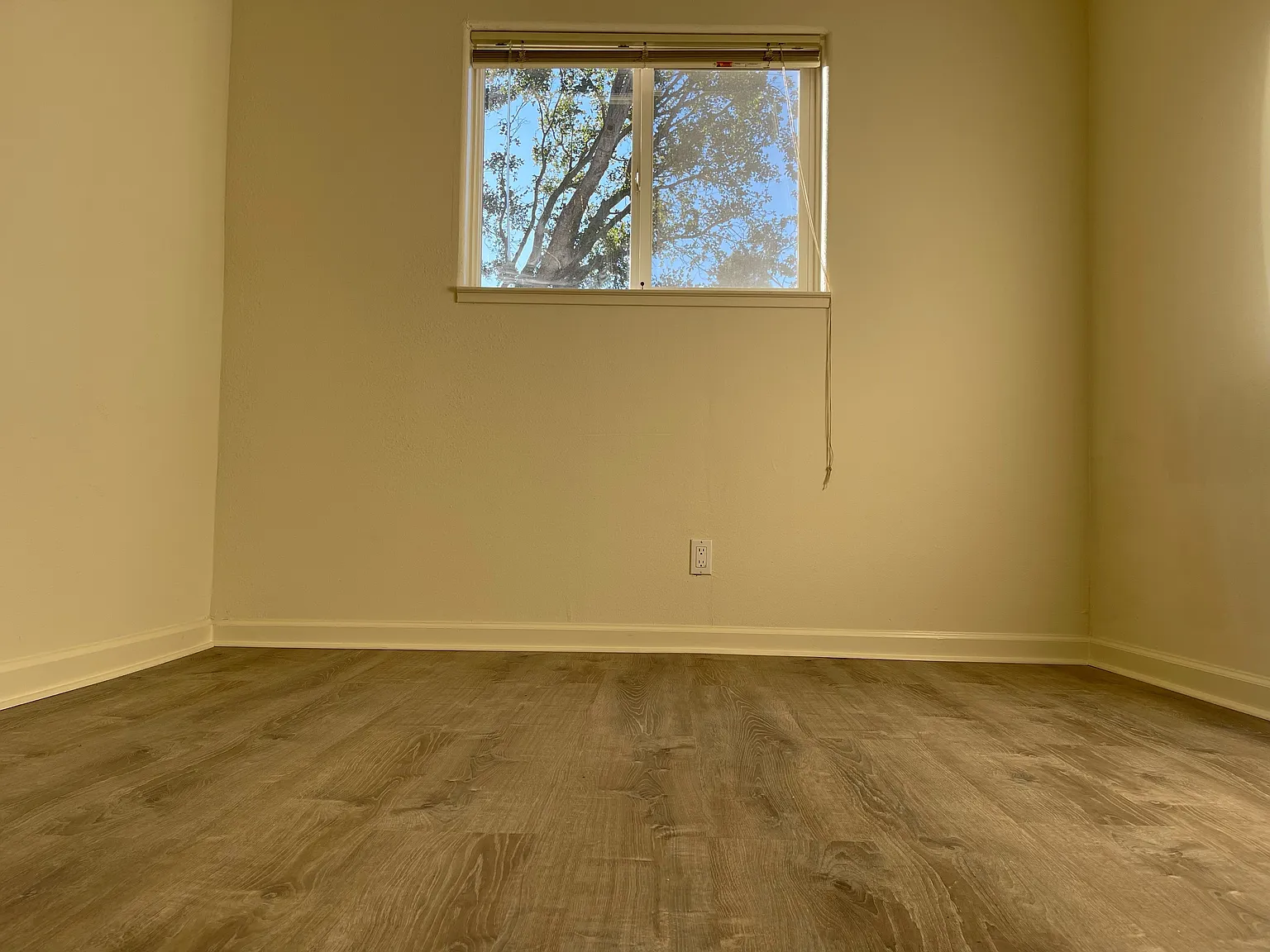 1 bed, 500 sqft, $2,100 — Photo 3