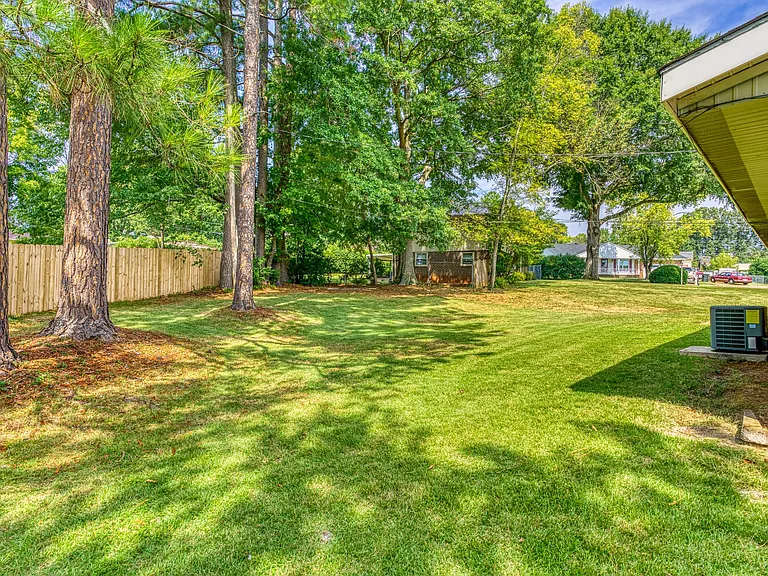 Large shaded backyard