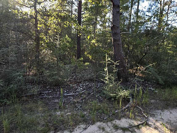 5th image of Randi Rd