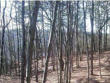 1st image of 0 Walled Spring Rd