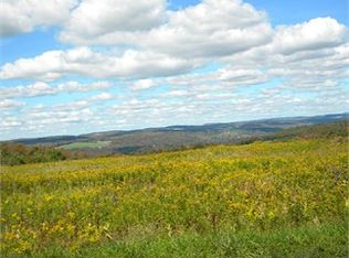 5931 Carr Rd, Smithville Flats, NY 13841