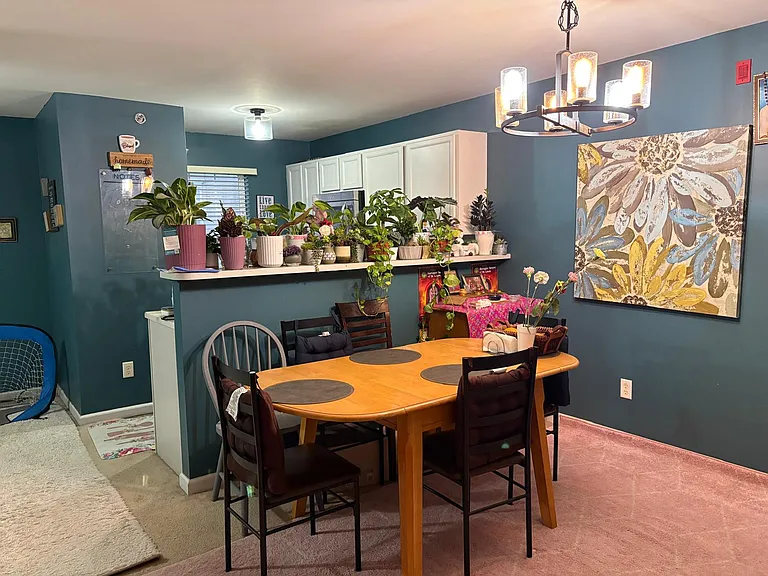 9201 Spring Creek Ln — Photo 8