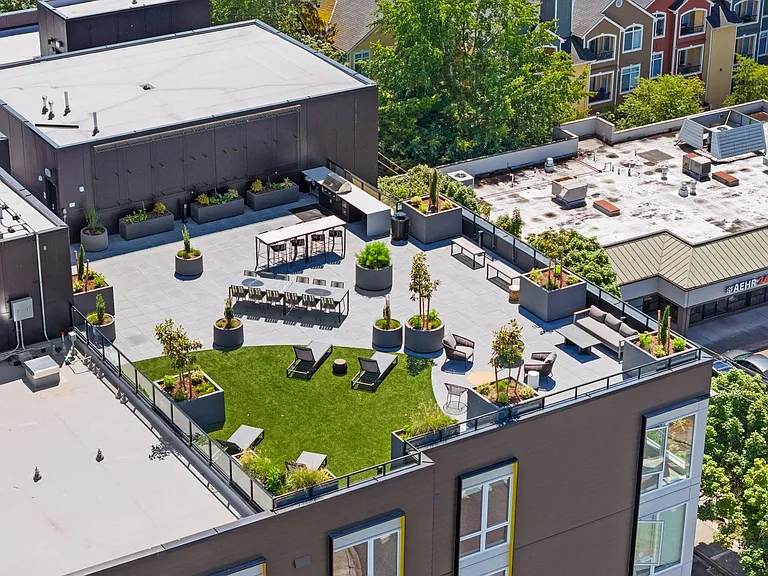 Taking Flight: A Bird's Eye View of Our Rooftop Oasis!