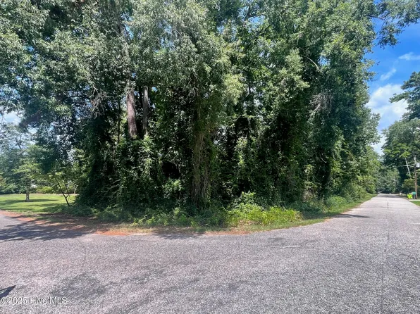 LOT 110 Wildwood Rd #&-111, Whiteville, NC 28472
