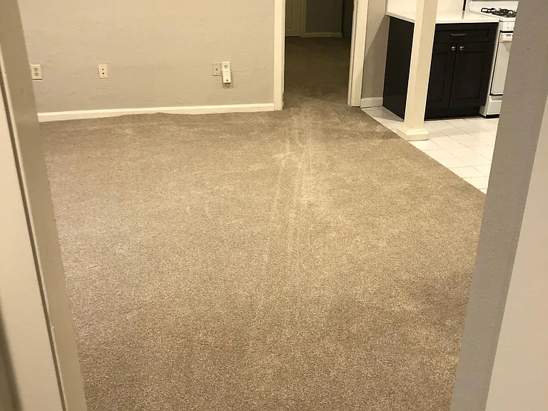 2335 Stout St #3 — Photo 11