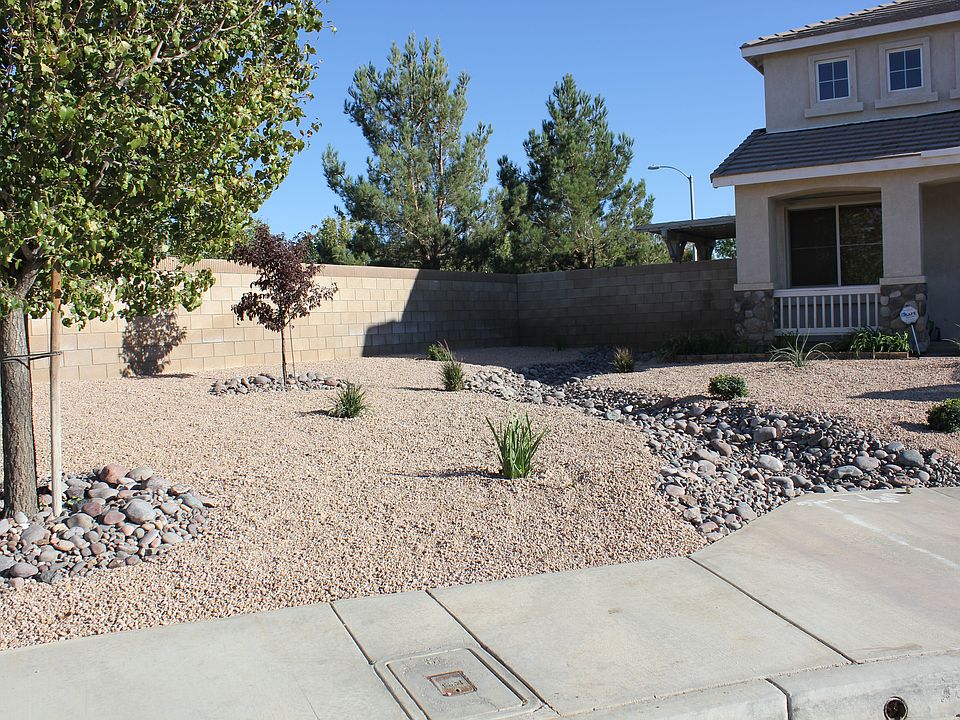 New Desert Landscape