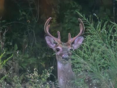 2386 Highway 179a, Westville, FL, 32464