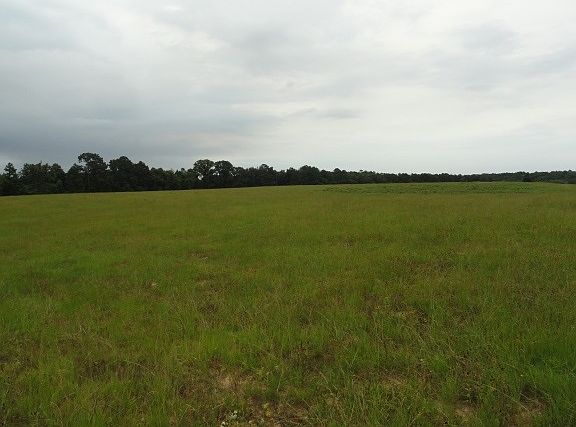 3rd image of 212 Cross Park