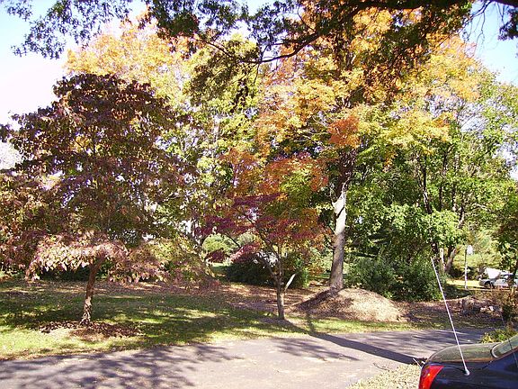 4th image of 620 Cherry Ln