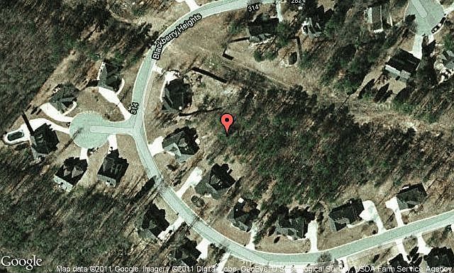Map View