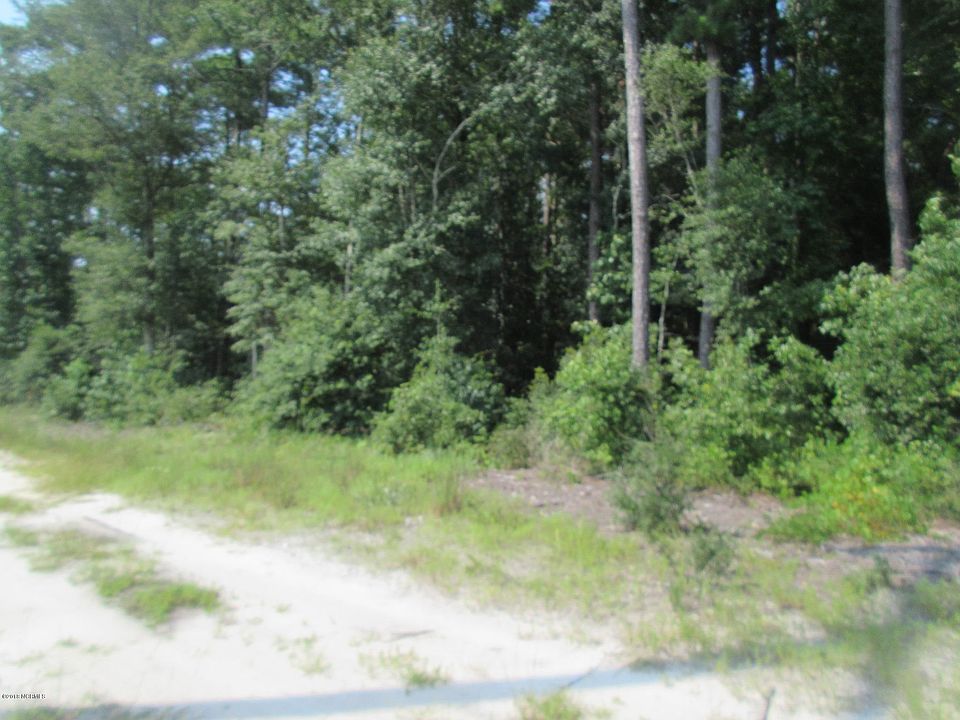 2nd image of 75.31 Acres On Highway 87
