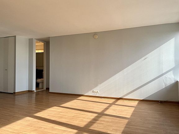 5th image of 655 W Irving Park Rd APT 703