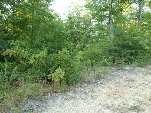 5th image of Black House Mountain Rd