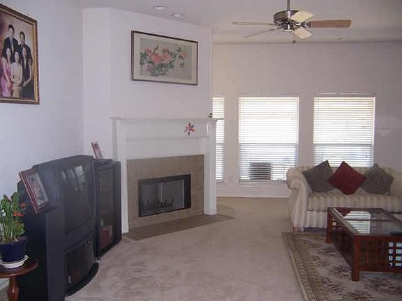 Living room - Fire place