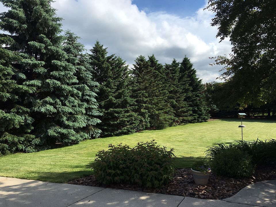 2nd image of 1275 Shelly Ln