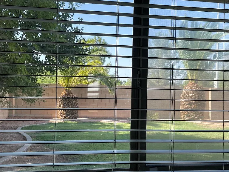 View from Den / Study / Office