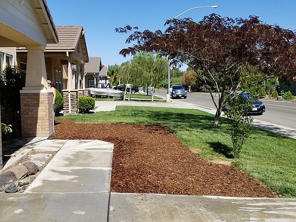 easy care front yard