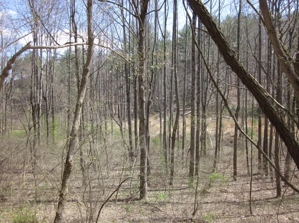 4 Bethlehem Rd, Boones Mill, VA 24065