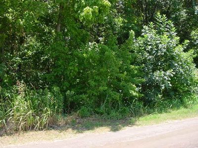14803 SE County Road 2370, Streetman, TX, 75859
