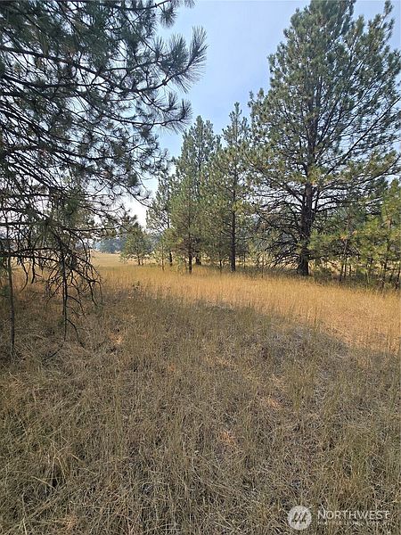 2nd image of 0 TBD Turner Lake Road