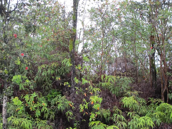 Kokokahi Rd Lot 67, Volcano, HI 96785