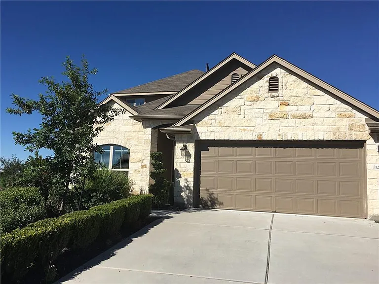 1209 Snow Goose — Photo 1