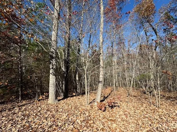 0 Chestnut Grove Rd, Appomattox, VA 24522