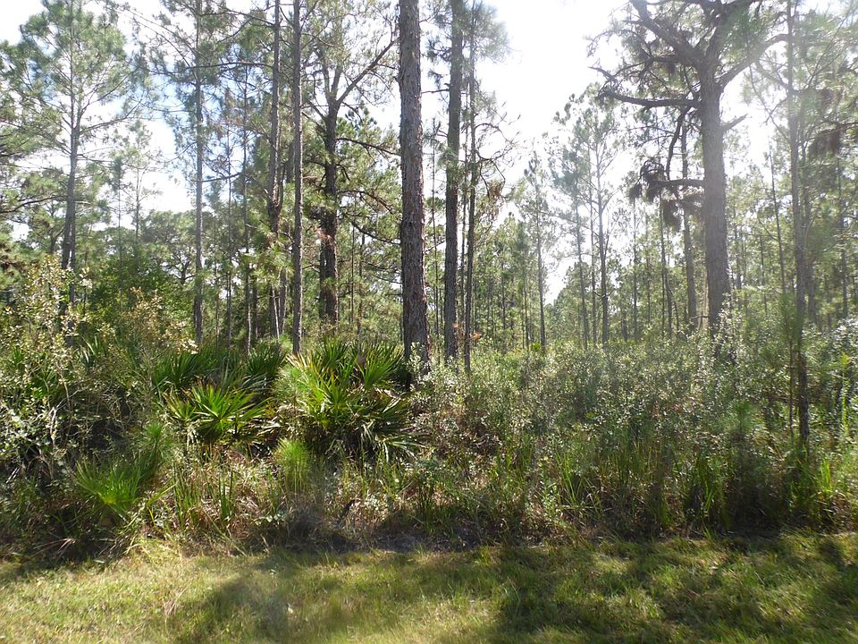 1st image of 1115 Calliandra Dr