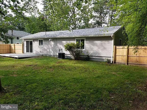 4th image of 56 Yarrow St